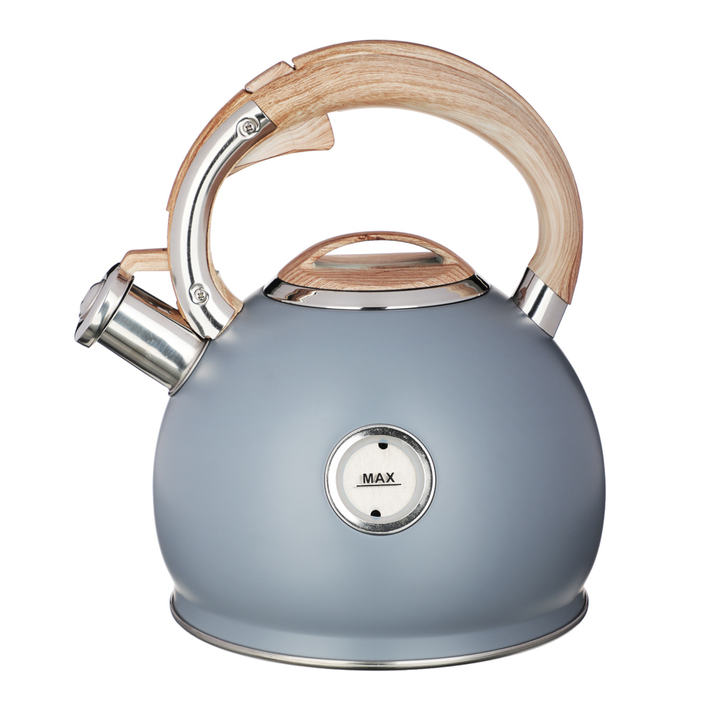 VETTA Steel kettle 3.0l "Bertrand", induction