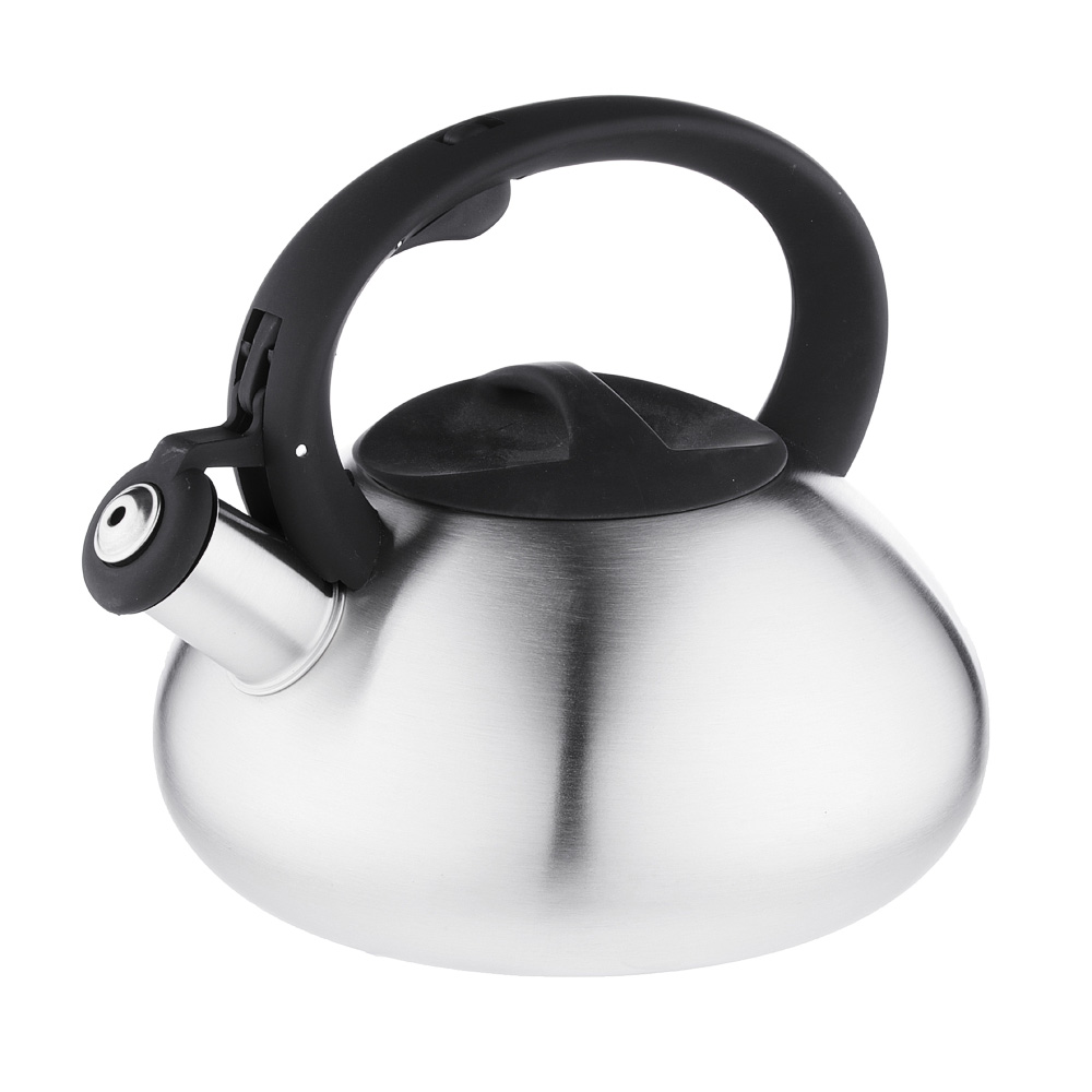 VETTA Steel kettle 2.5l matte, induction