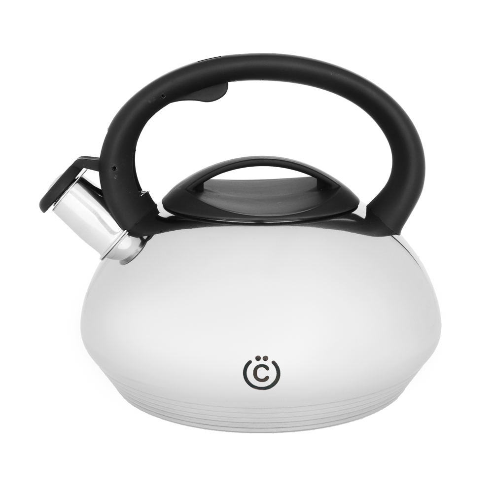 VSEGAZIN Steel kettle 3.0 l, induction