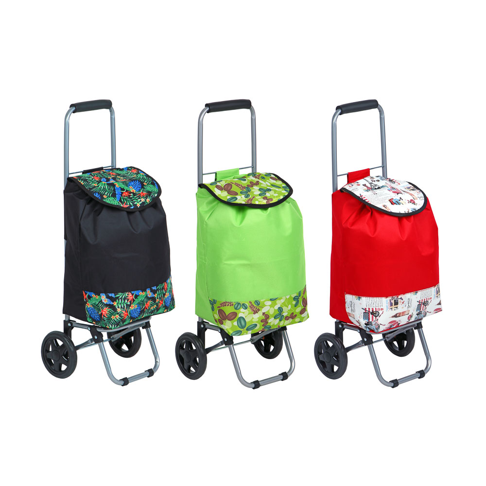 VETTA Trolley + bag, up to 30kg, 30x22x86cm, 21l, tarpaulin, EVA wheels d14.5cm