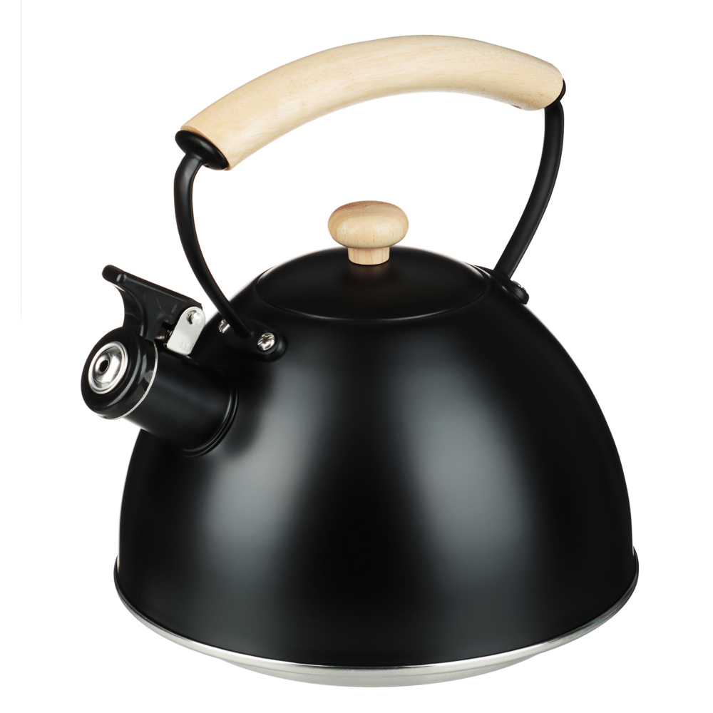SATOSHI Nera Kettle 2.5l stainless steel, induction